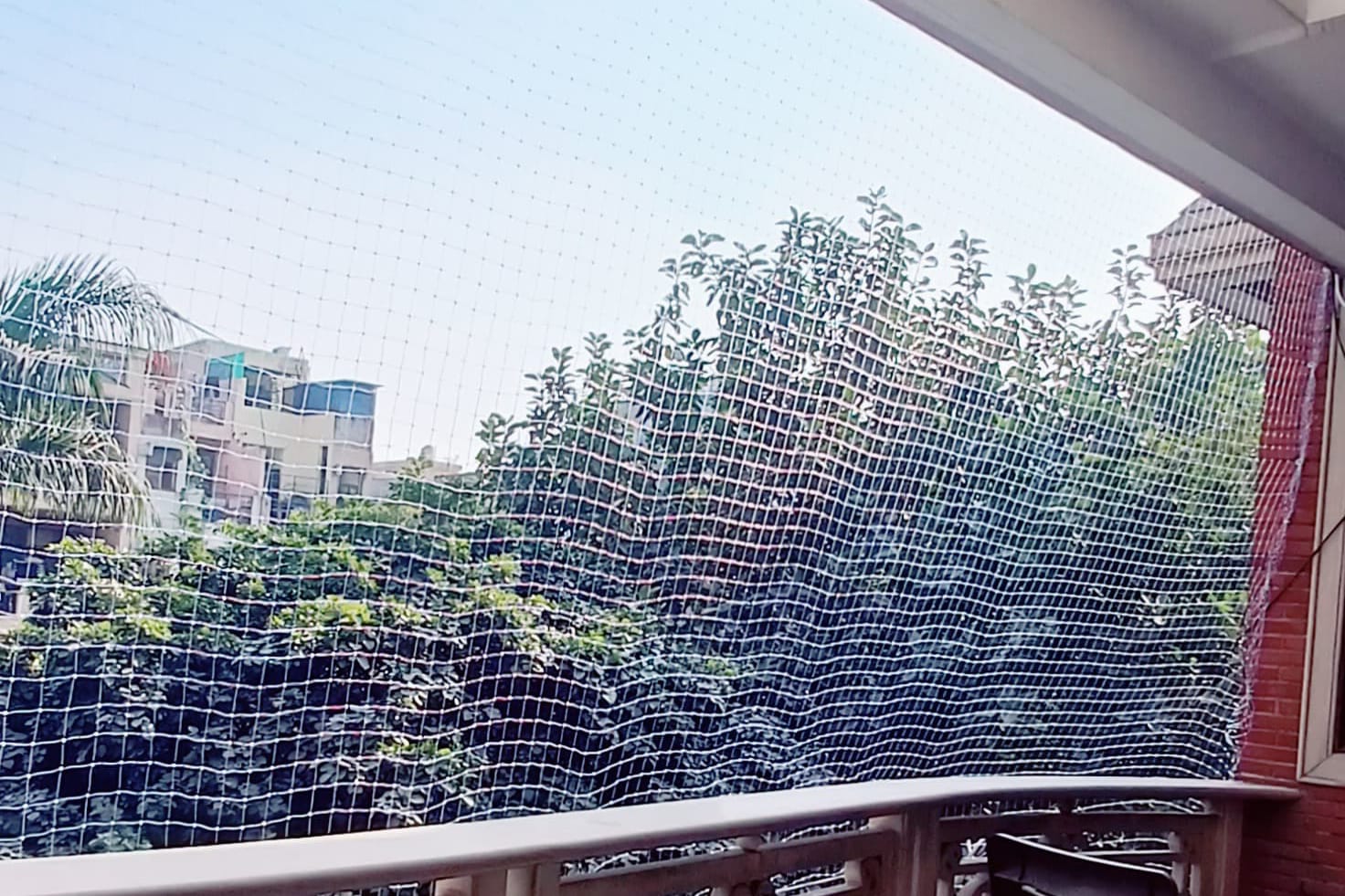 anti bird net delhi